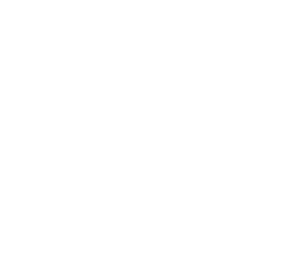 Logo Alares Internet